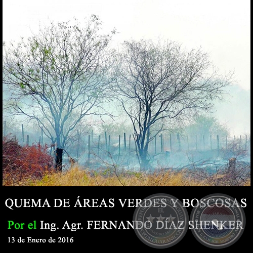 QUEMA DE ÁREAS VERDES Y BOSCOSAS - Ing. Agr. FERNANDO DÍAZ SHENKER - 13 de Enero de 2016